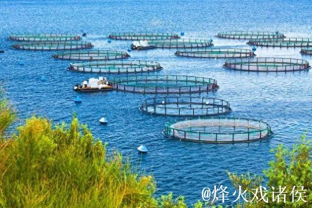 “乘数效应”打造10万亿市场 海洋经济成中国经济增长“蓝色引擎” “乘数效应”打造10万亿市场 海洋经济成中国经济增长“蓝色引擎”